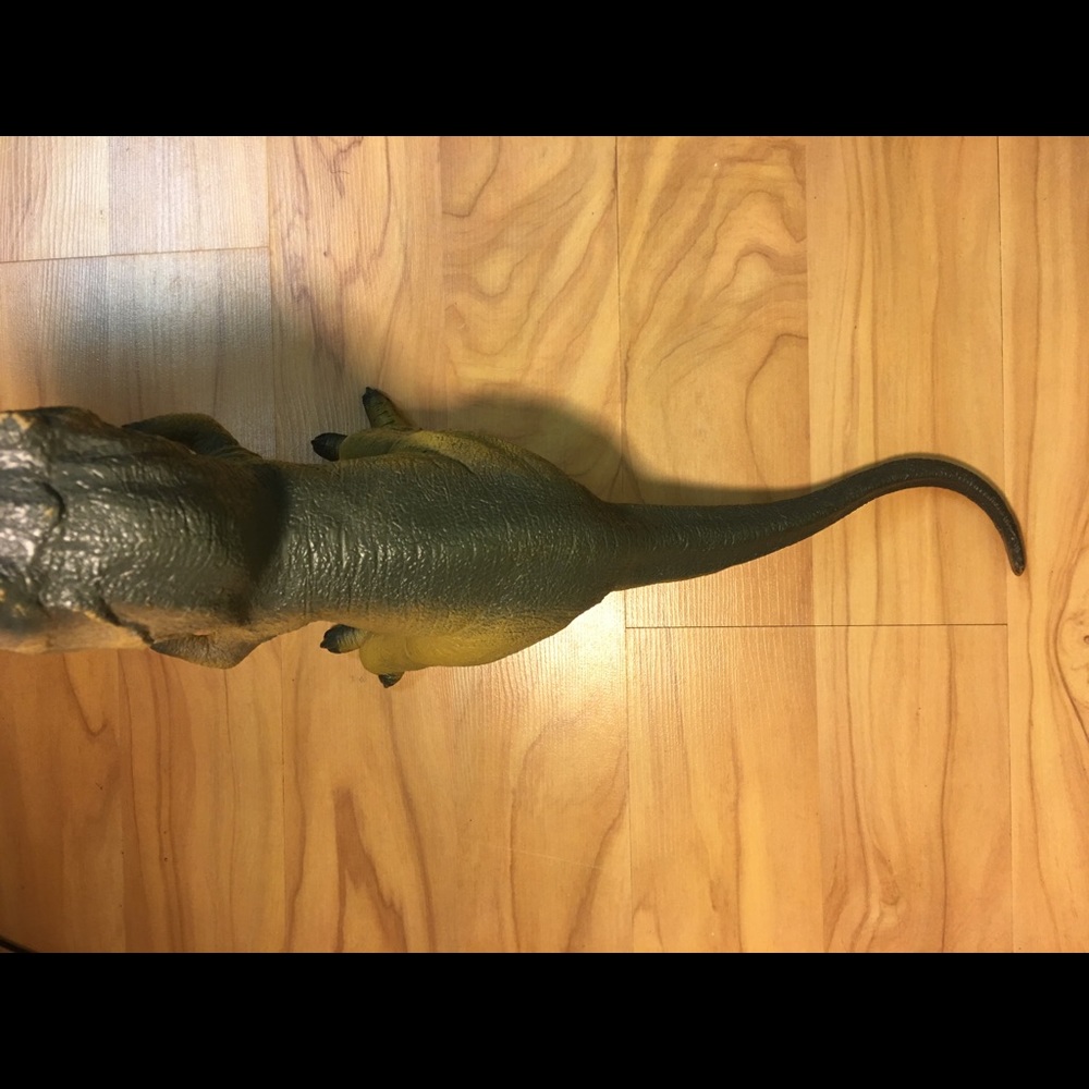 Tyrannosaurus Rex Dinosaur Figure - Picture 4 of 13